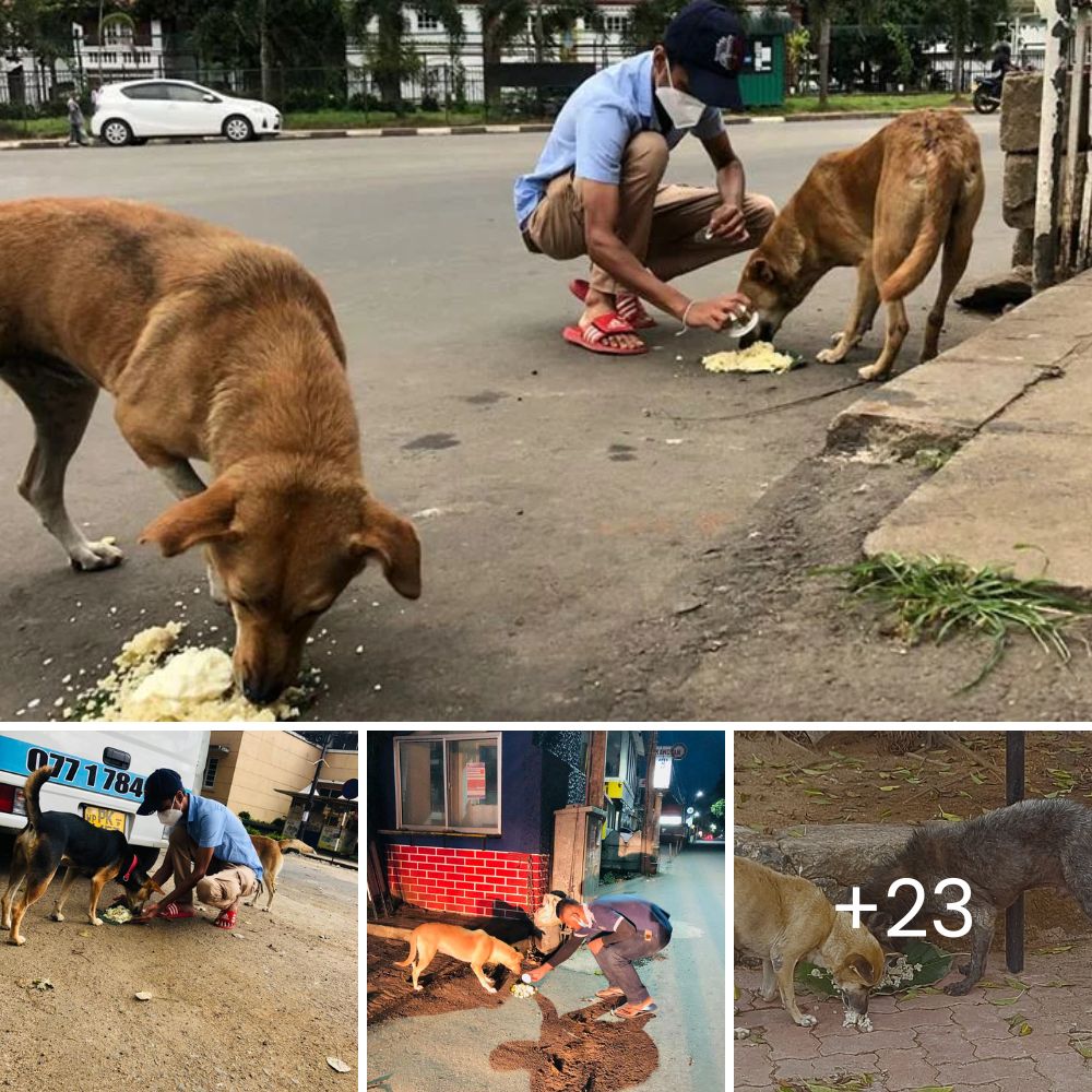 Alegría desatada: un perro rescatado rebosa de felicidad al encontrar un hogar amoroso y atento para siempre