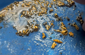 Unbelievable! American Explorer Unearths Over $1,000 in Pure Gold deeр in the Jungle!
