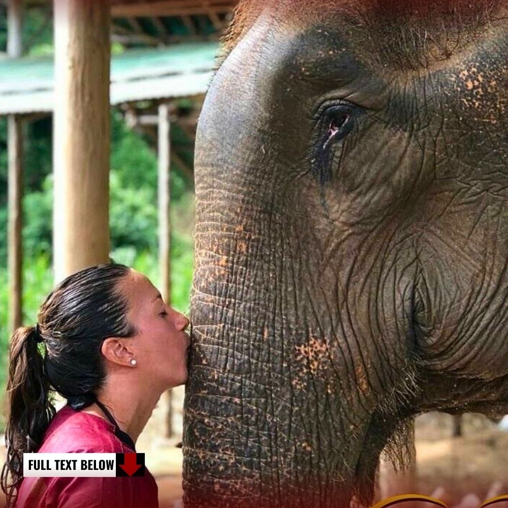 We have a bond! The pure love between the caretaker and the old elephant she has cared for for over 10 years is admirable.kn