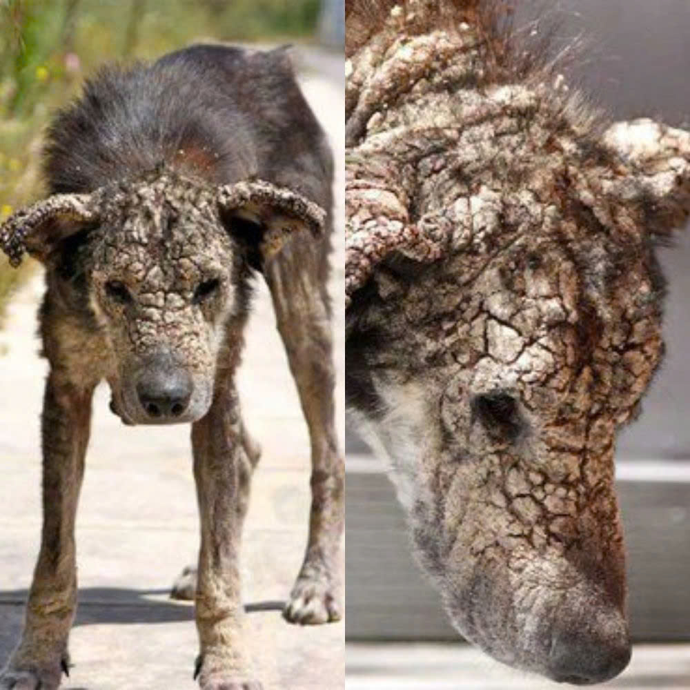 Camino con dolor y soledad, me duele la piel, pero mi corazón aún late, esperando amor, calor y los brazos de alguien listo para abrazarme.
